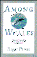 Among Whales